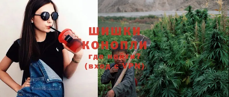 Канабис White Widow  Курлово 